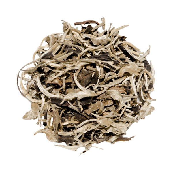 Moonlight White Tea -Yue Guang Bai